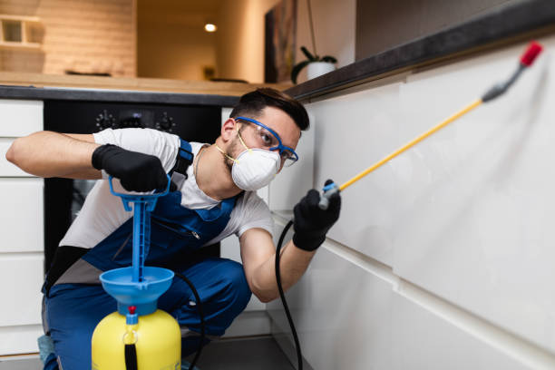 Best Mosquito Control Services  in Redland, TX
