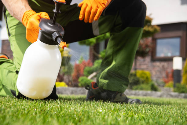 Best Local Pest Control Services  in Redland, TX